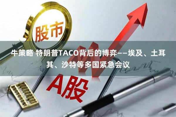 牛策略 特朗普TACO背后的博弈——埃及、土耳其、沙特等多国紧急会议