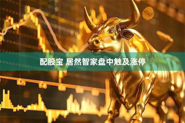 配股宝 居然智家盘中触及涨停