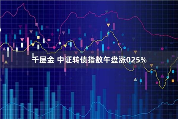 千层金 中证转债指数午盘涨025%