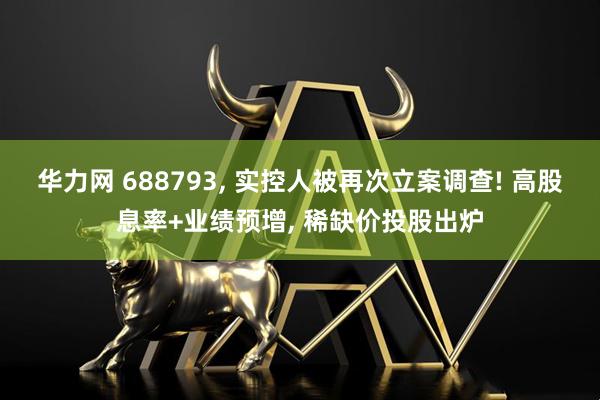 华力网 688793, 实控人被再次立案调查! 高股息率+业绩预增, 稀缺价投股出炉