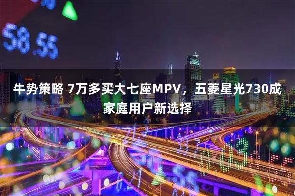 牛势策略 7万多买大七座MPV，五菱星光730成家庭用户新选择