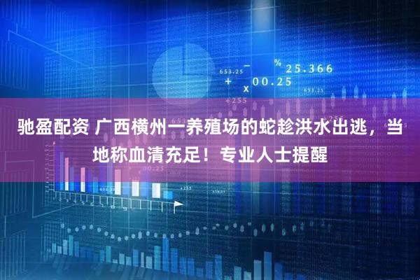 驰盈配资 广西横州一养殖场的蛇趁洪水出逃,当地称血清充足!专业人士提醒