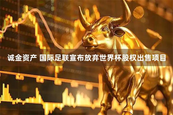 诚金资产 国际足联宣布放弃世界杯股权出售项目